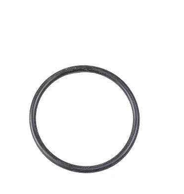Fuel Tank Sending Unit O-Ring Seal