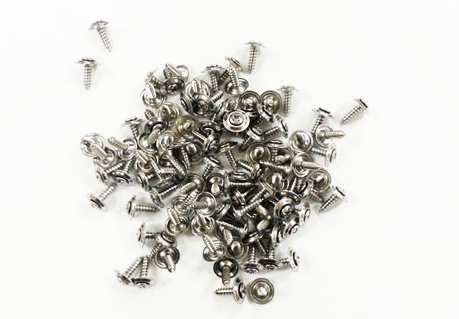 50-67 Bus Door Panel Deco Screws (100ps)