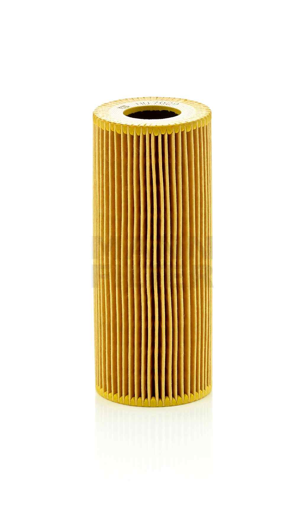 Oil Filter O.E.M. 06-18 Pr Various V6