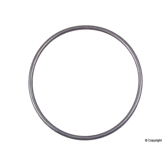 O-RING, WTR PMP