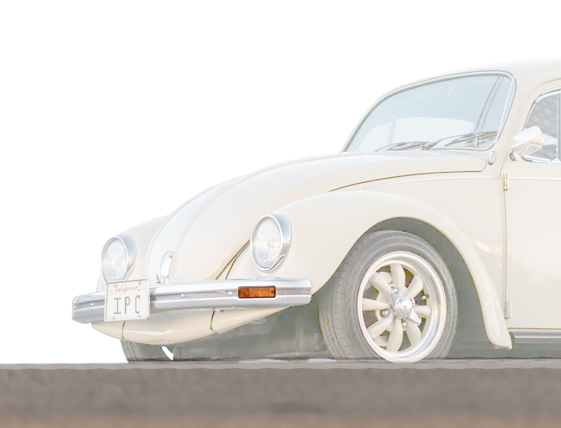 Bug 68-73, Super Beetle 71-73 Turn Signal Assemblies for Cal Bumpers Pair