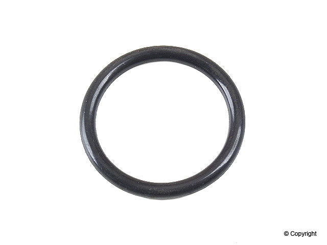 Main Coolant Pipe O-Ring