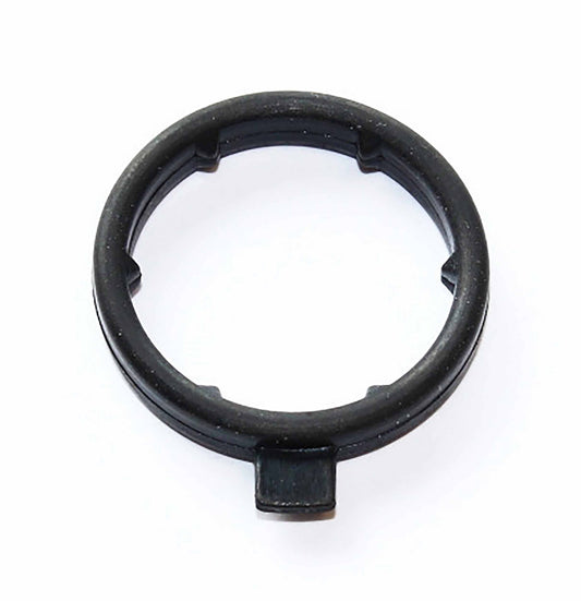 Coolant Flange O-ring VW Toaureg 248.230