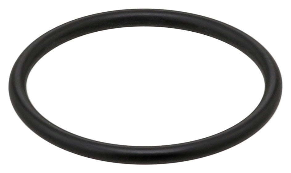 O-Ring W/Pump Thermostat Housing