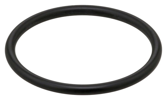 O-Ring W/Pump Thermostat Housing