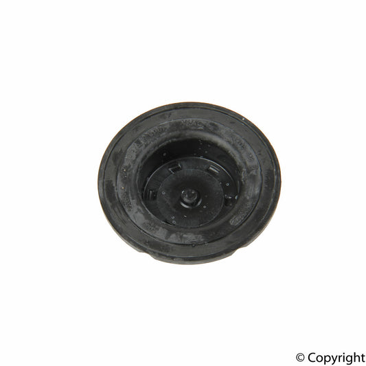 Timing Cover Plug