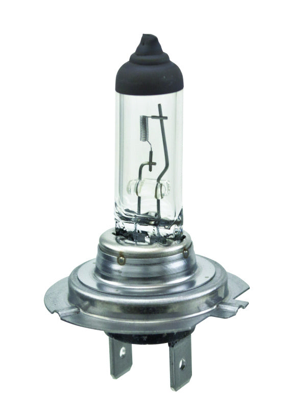 BULB, H7 12V/55W Longlife