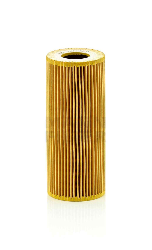 Oil Filter O.E.M. 06-18 Pr Various V6