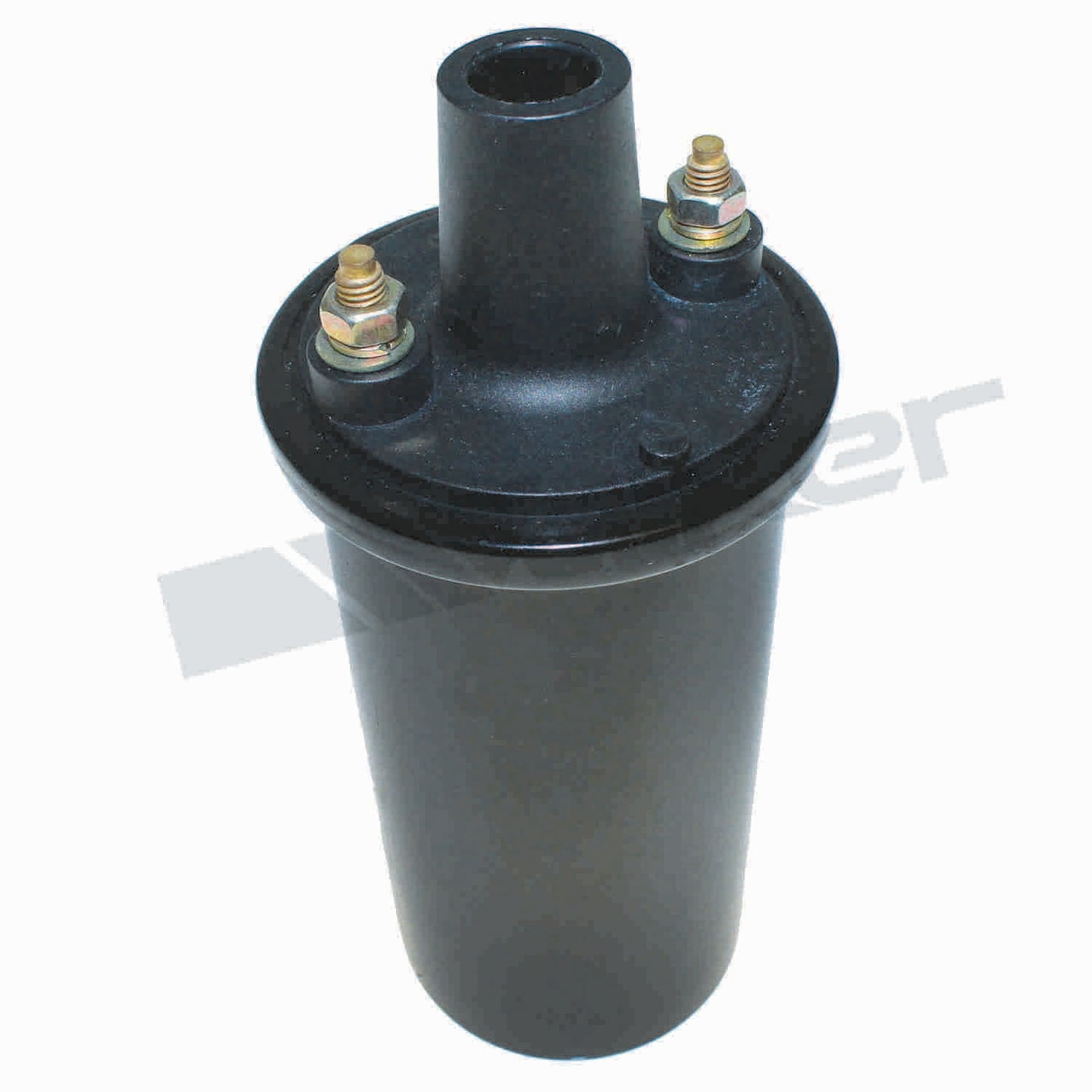 IGNITION COIL, 12V BLUE / BLK WALKER