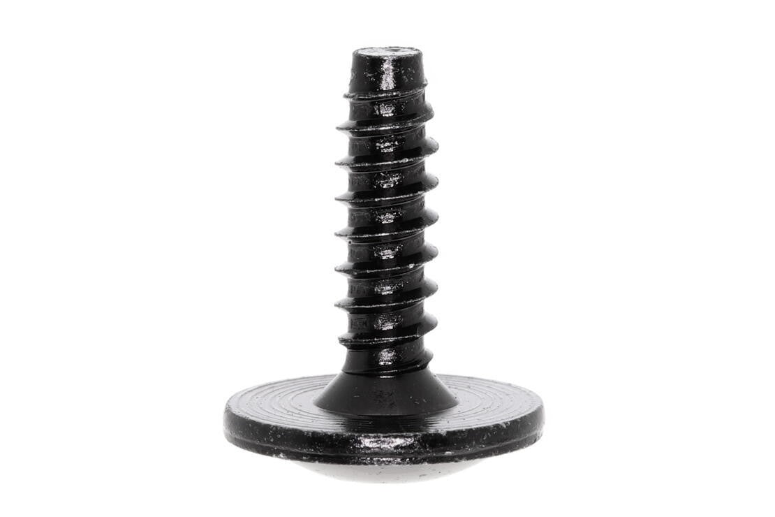 MOUNTING SCREW