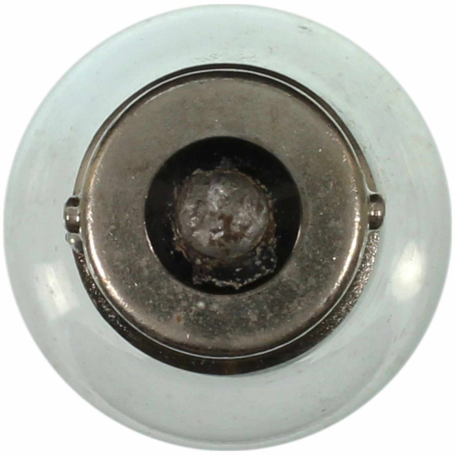 Standard 6v 16w Light Bulb